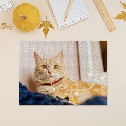 500 Piece Puzzle3