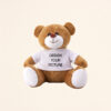 Teddy Bear Stuffed Animal with T-shirt (3)