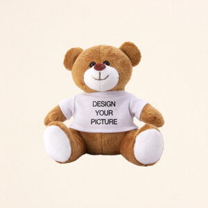 Teddy Bear Stuffed Animal with T-shirt (3)